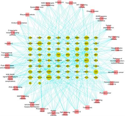 Evaluating the Therapeutic Mechanisms of Selected Active Compounds in Houttuynia cordata Thunb. in Pulmonary Fibrosis via Network Pharmacology Analysis